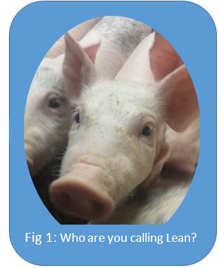 Lean is the way to go in Pigs, and not just on the Plate